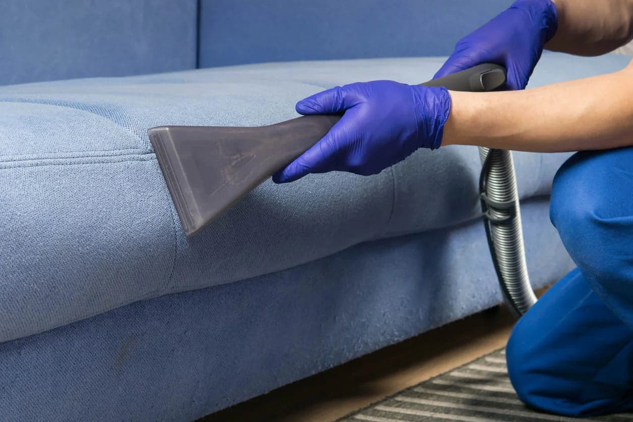 Professional Sofa Cleaning