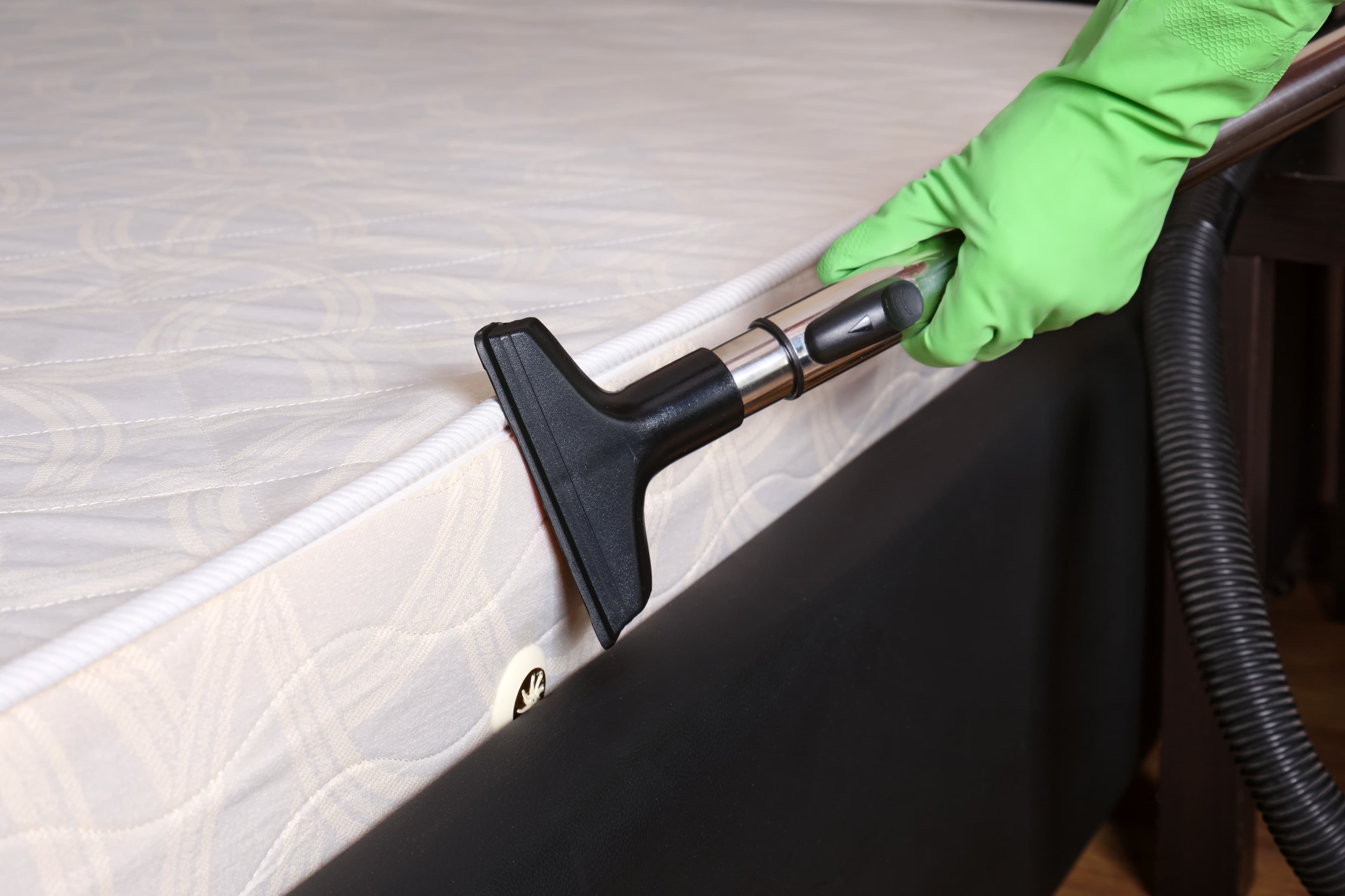 Window Cleaning Service